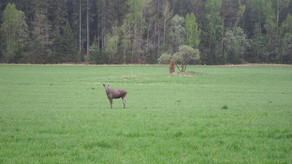 Sikhall Camping Sörbo Esterno foto